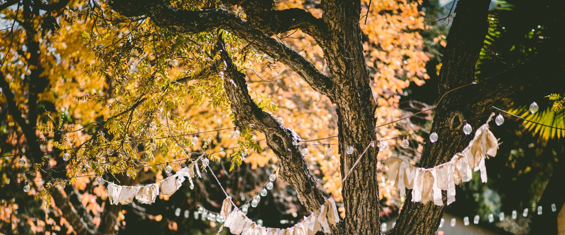 Planning a Perfect Wedding Reception in Clark County: Restrictions on Food and Catering
